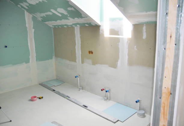 Edenton, NC Mold Removal Company