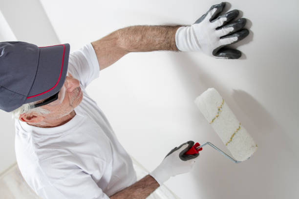 Best Mold-Related Health Consultation  in Edenton, NC