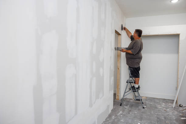 Best Water Damage & Mold Remediation  in Edenton, NC