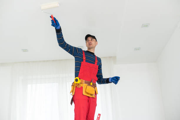 Edenton, NC Mold Removal Company