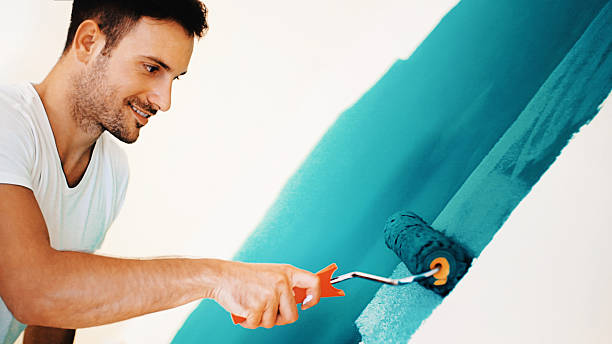 Best Mold Documentation for Insurance Claims  in Edenton, NC