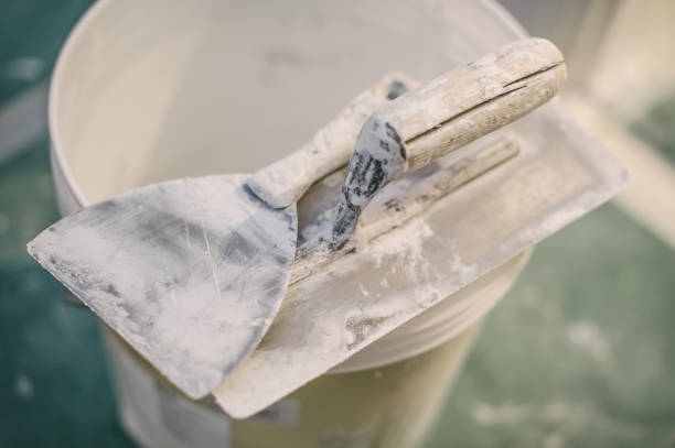 Best Commercial Mold Inspection  in Edenton, NC