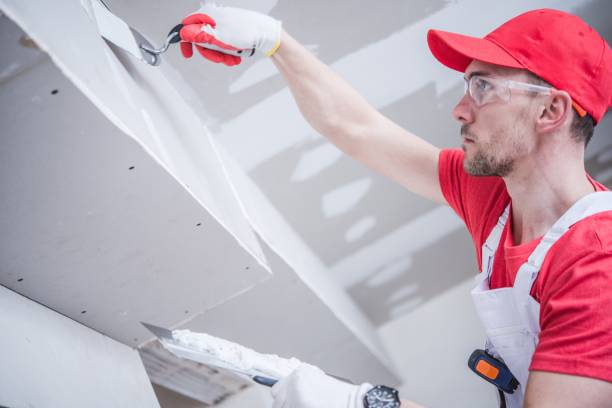 Best Attic Mold Removal  in Edenton, NC